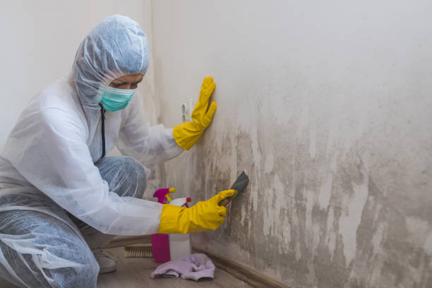 Best Emergency Mold Removal  in Sandston, VA