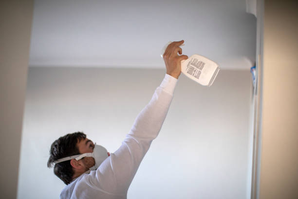 Best Mold Testing  in Sandston, VA