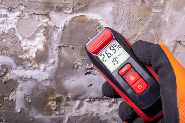 Reliable Sandston, VA Mold Removal Solutions