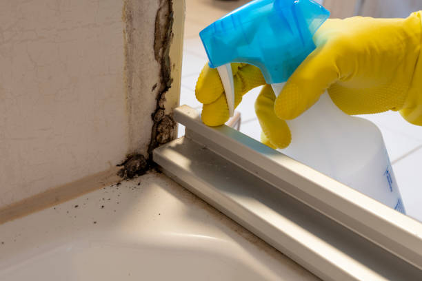Best Professional Mold Removal  in Sandston, VA