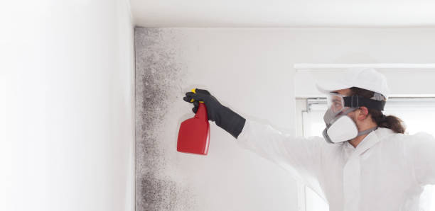 Best Residential Mold Removal  in Sandston, VA