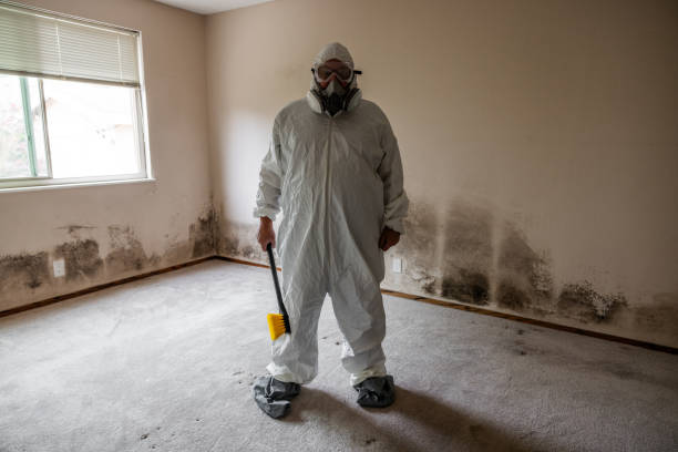 Best Affordable Mold Removal  in Sandston, VA